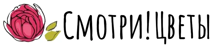 Смотри! Цветы