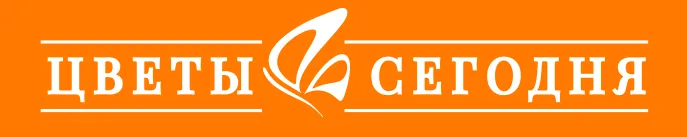 Цветы сегодня