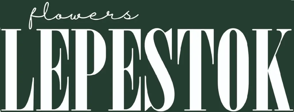 Burgundy | flowers & decor