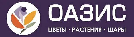 Оазис
