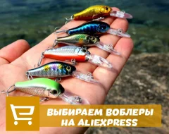 Что нужно знать о выборе воблеров с AliExpress
